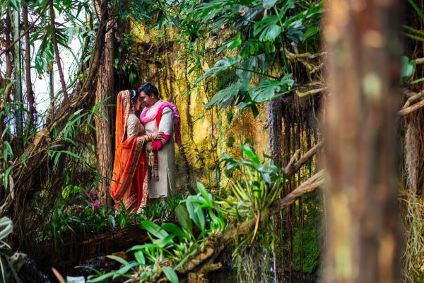 Indian Wedding in Pantropica